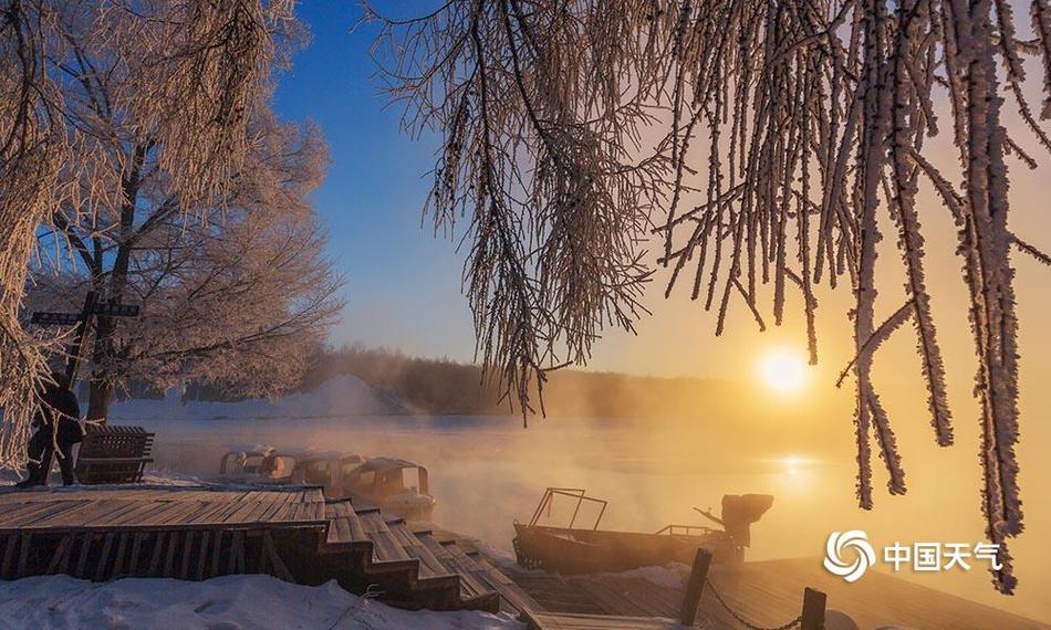 陈皮可以和桑葚一起泡吗