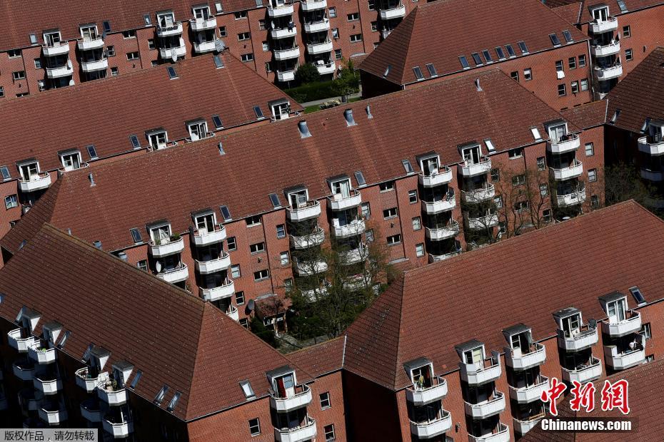 蕨菜怎么保存到下半年