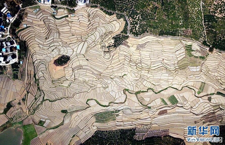 阴阳师于家什么梗