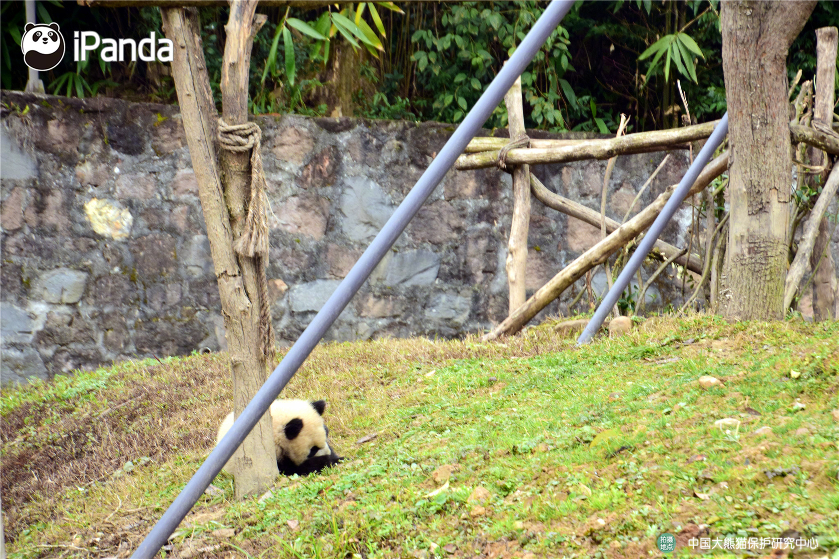 水果都有哪些水果
