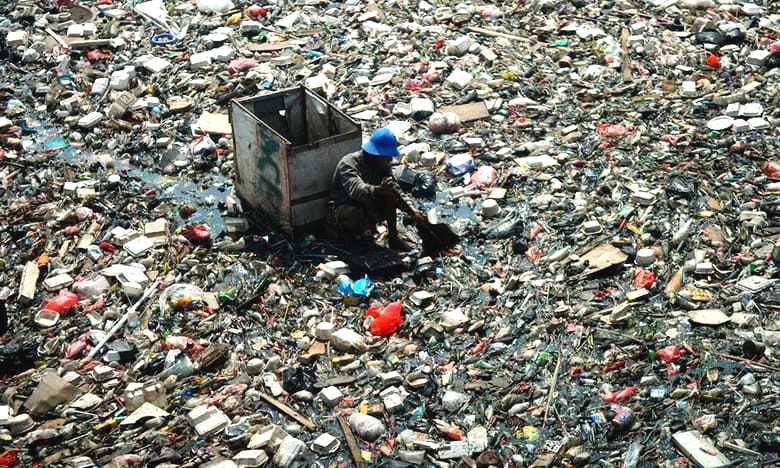 螃蟹流出来的黄东西是什么