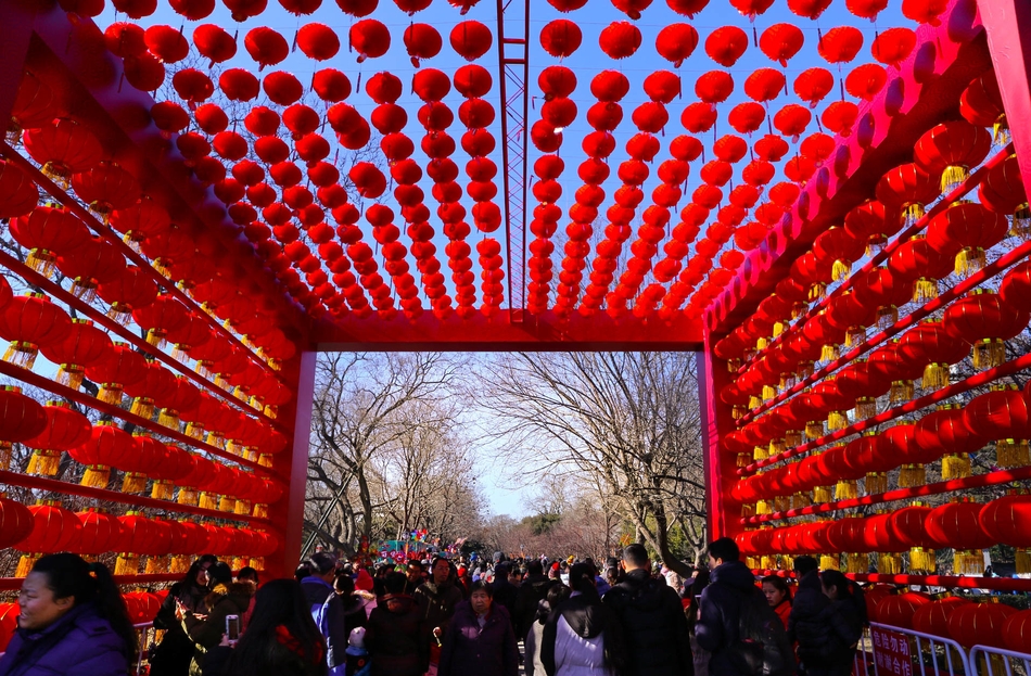 松茸是野生的还是人工种的