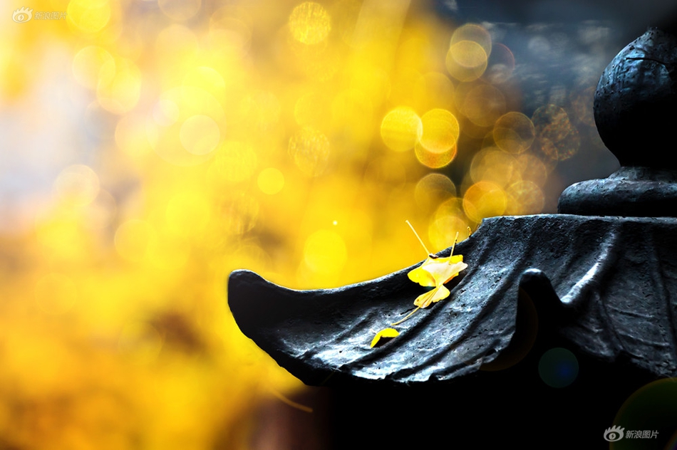 丝绸和真丝有什么区别