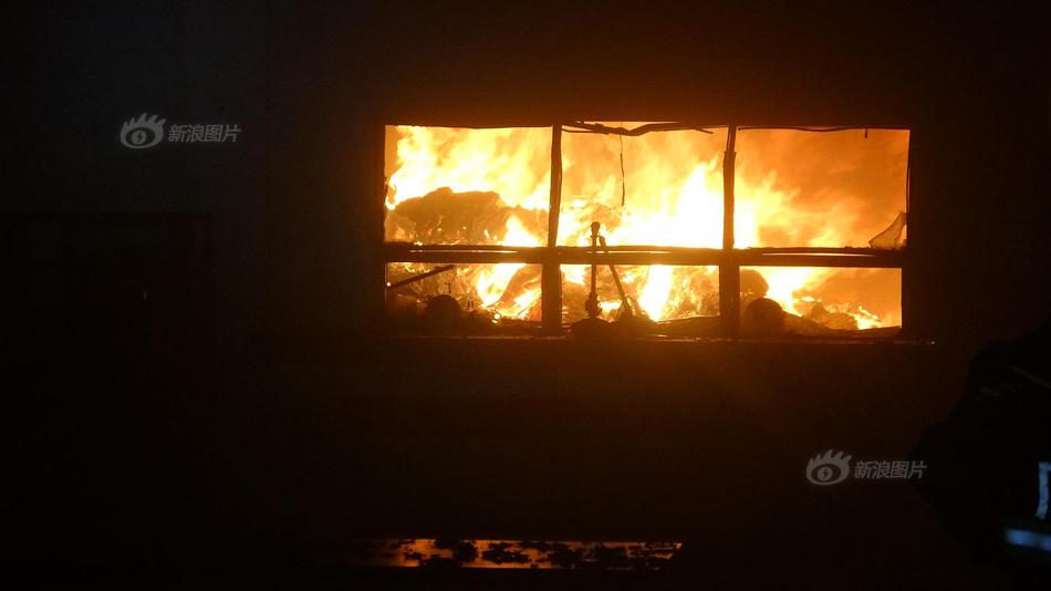 野生葫芦娃是什么梗