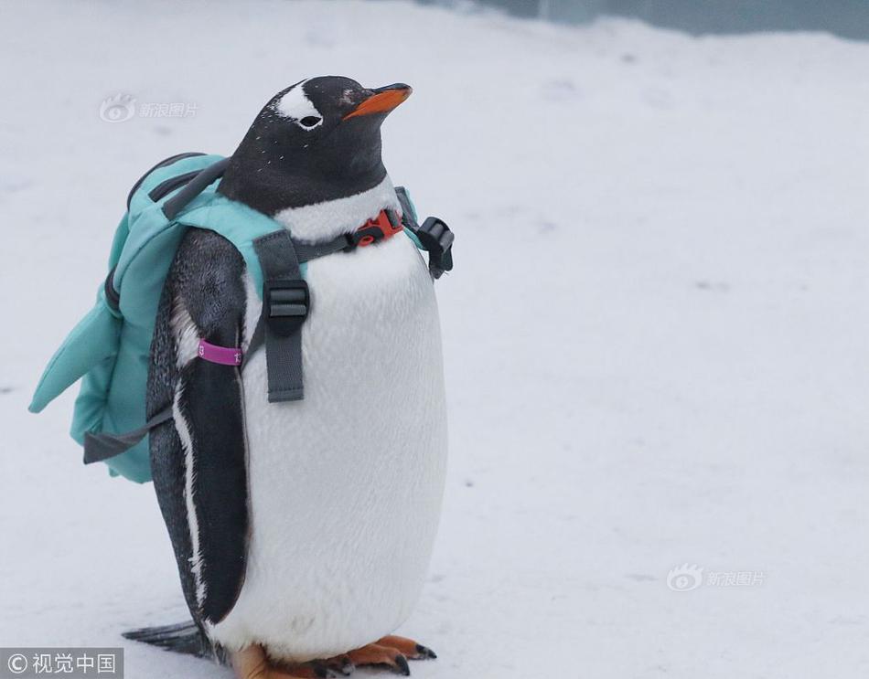 滚出中国什么梗