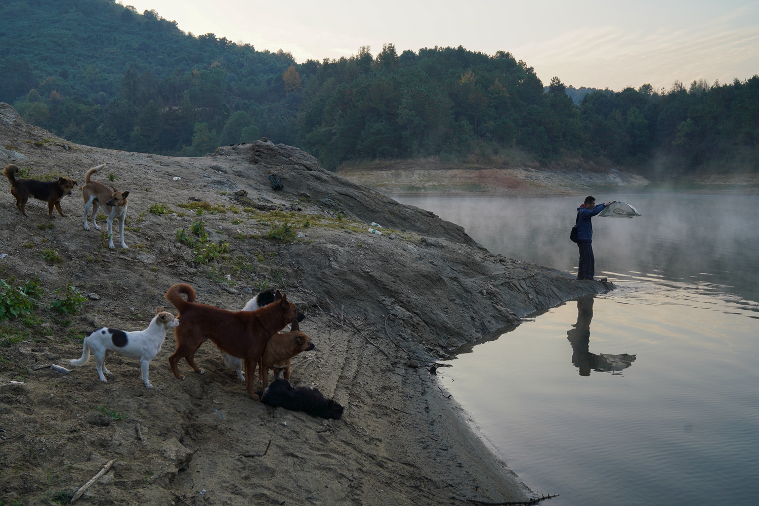 网上名媛是什么梗