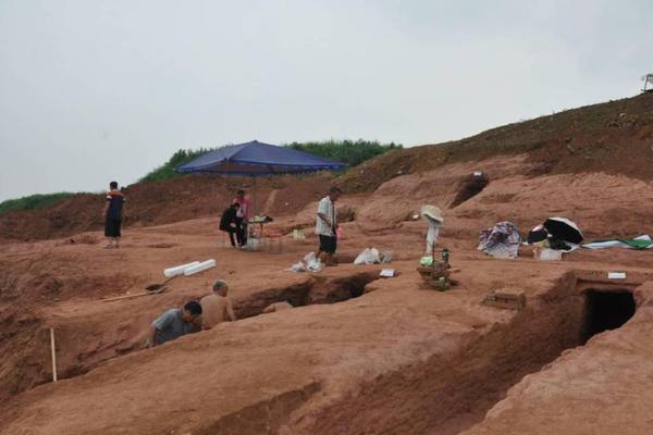 玫瑰痤疮形成的原因