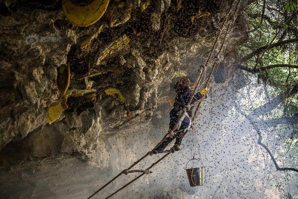 开封后的牛奶可以保存多久