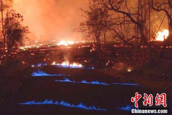 大司马厅长什么梗