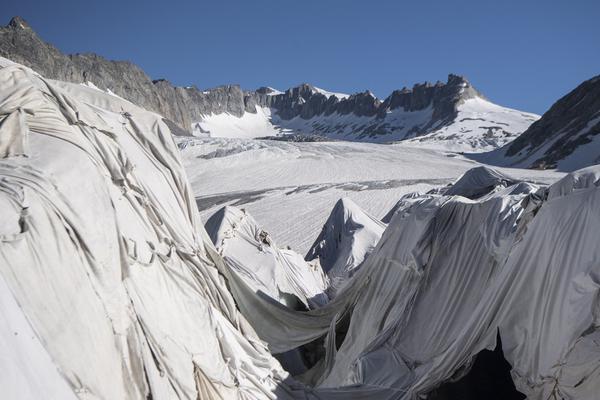 奥特曼头像什么梗
