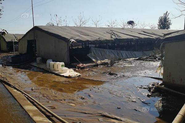 洋葱出芽可以吃么