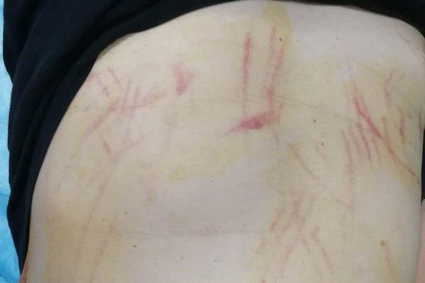 花蛤属于海鲜还是河鲜