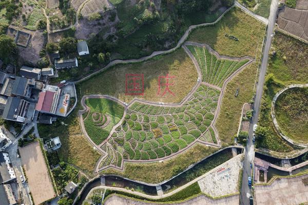 食盐加白醋有什么功能