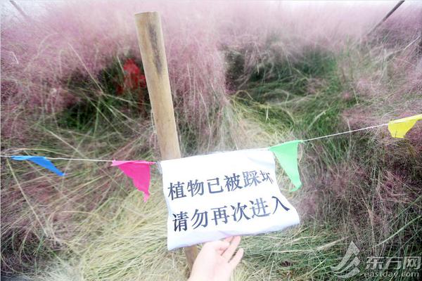 世界乒乓球选手排名