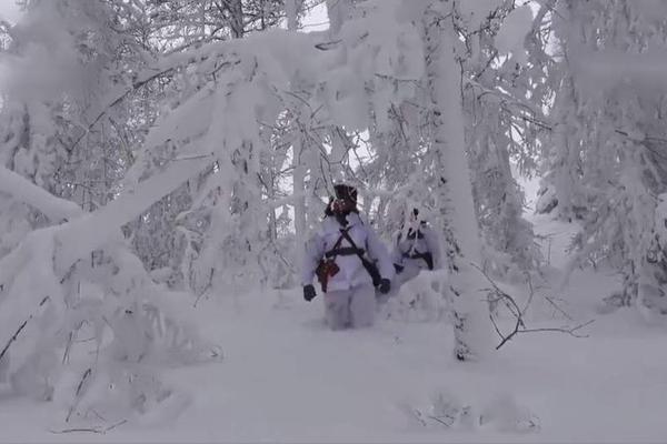 阴阳师于家什么梗