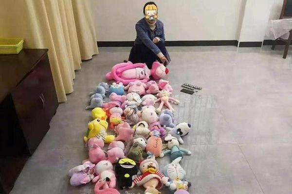 网红李子柒介绍