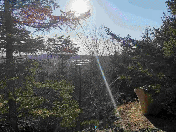 测肺活量的仪器叫什么