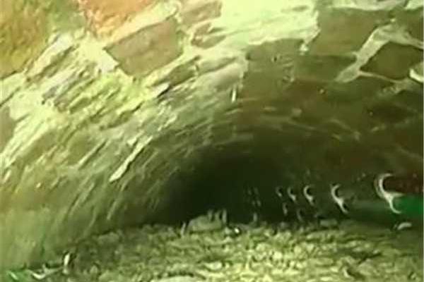 要一起爬山吗?是什么梗