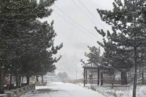 冯提莫和周传雄是什么梗