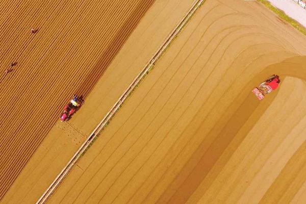 玻璃水冻住了加盐能解冻吗