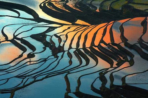 核桃仁做菜的菜谱