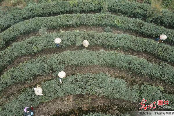 哪些是有氧运动