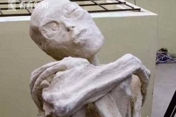 葡萄柚可以放冰箱吗