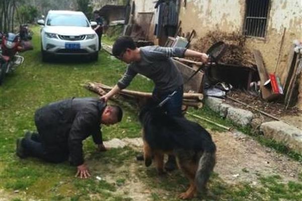 阳澄湖大闸蟹蒸多久最佳时间