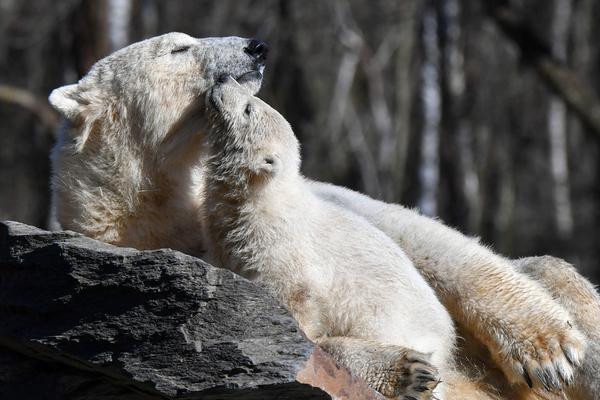 水灵灵的好女人是什么梗