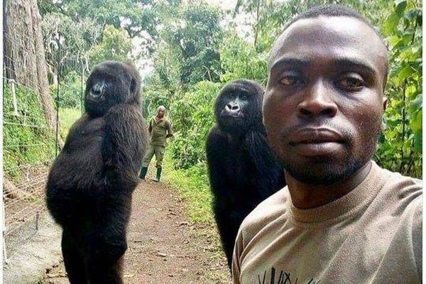 月球种菜是什么梗