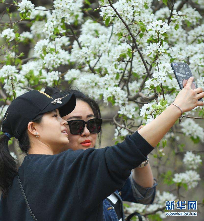 高铁很晃是什么梗