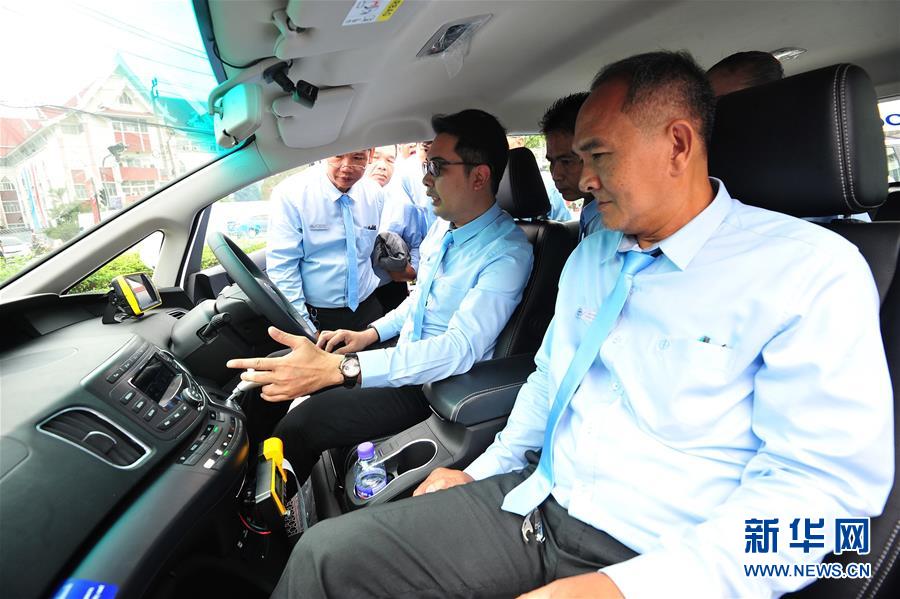 桑葚是碱性还是酸性