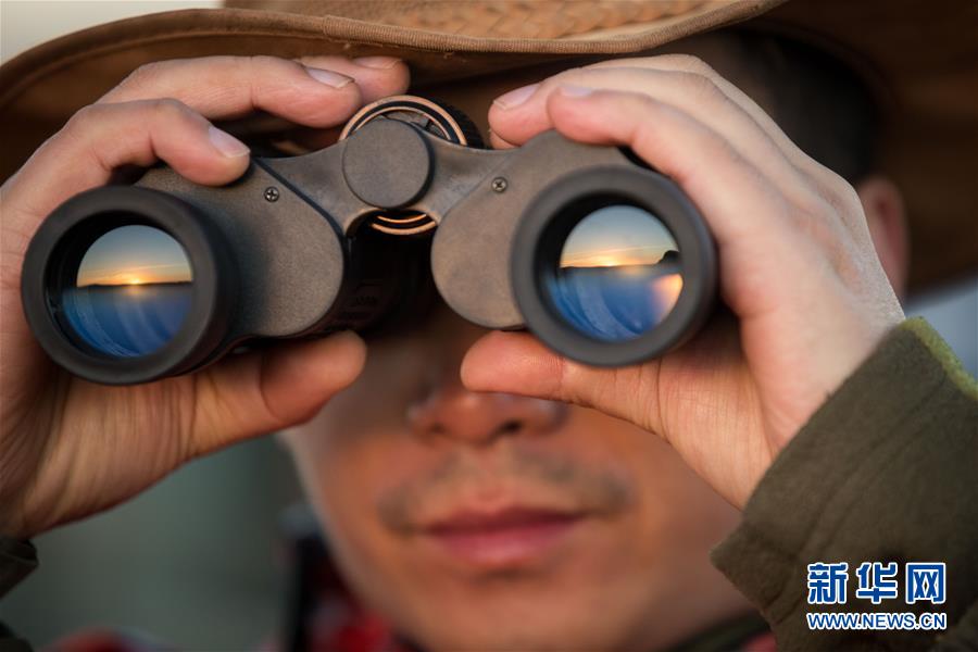 day到rua是什么梗