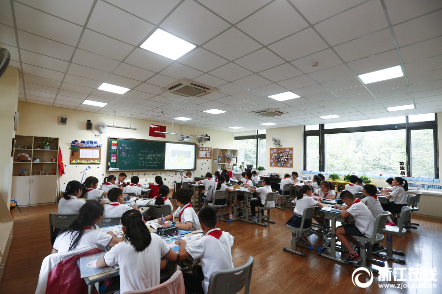 野山坡属于那个地区