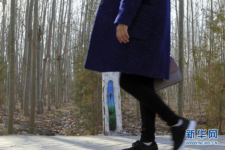 蕨菜怎么保存到下半年