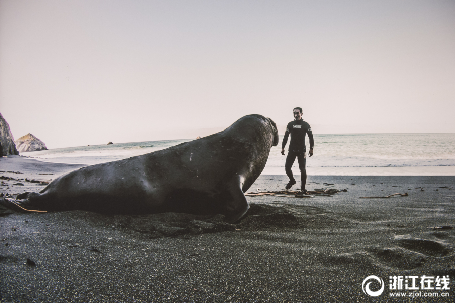 牙签搅水缸是什么梗