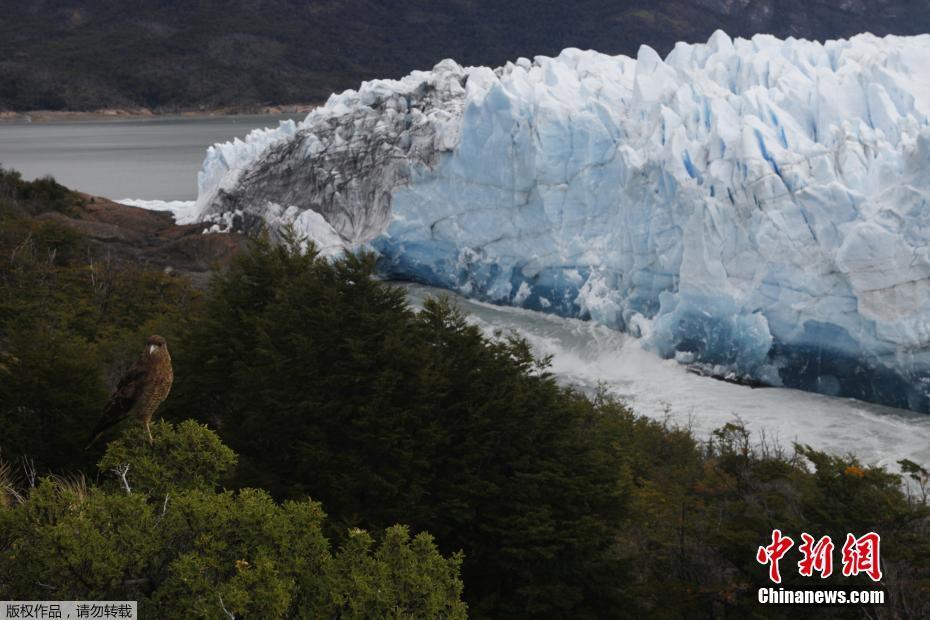 day到rua是什么梗