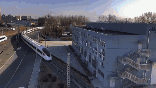 玉米直男什么梗